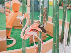 -红星美凯龙北京至尊MALL(东四环中路店)