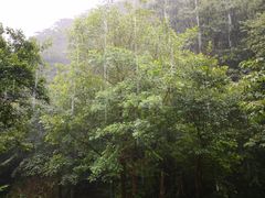 -浙北大峡谷