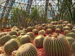 -昆明市金殿名胜区