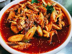 -青城甲(青城山店)