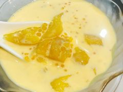 -糖朝(尖沙咀店)