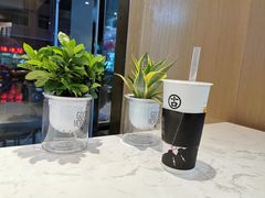 -古茗(霖磐店)