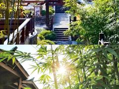 -崇阳三特浪口温泉