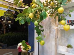 -BIGHEAD大头家咖啡馆(蛇口店)
