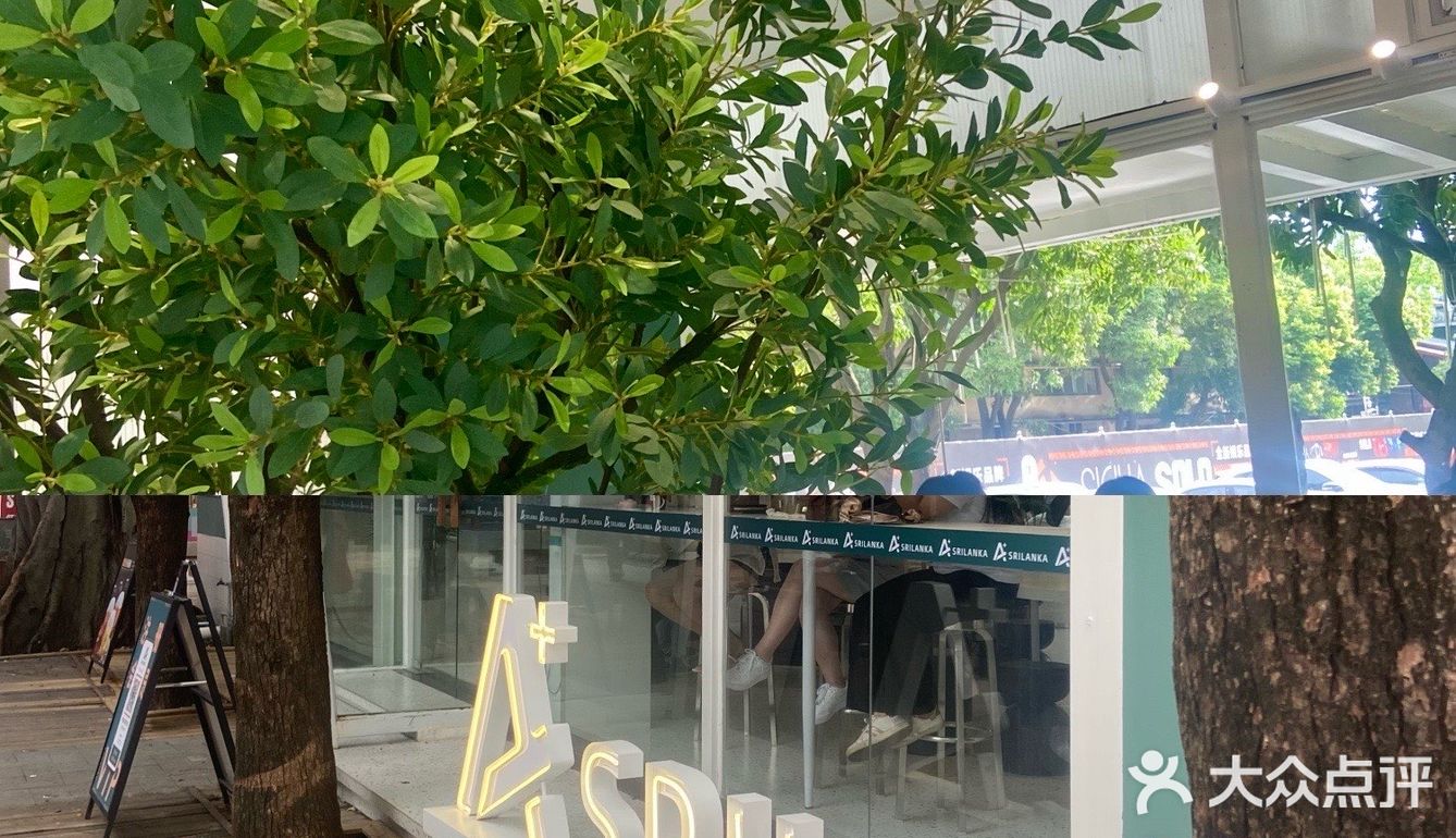▪️佛山探店|啡瘾患者推介A+srilanka☕️