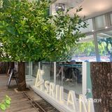 ▪️佛山探店|啡瘾患者推介A+srilanka☕️
