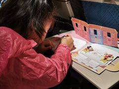 -新加坡航空公司(ION)