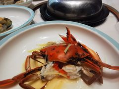 -天鹰观渔(梦园店)
