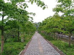 -红山村