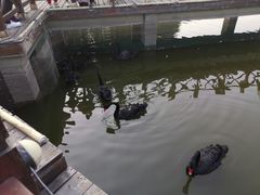 -毛遂公园