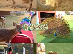 -盈香心动乐园