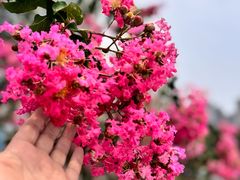 -苏州河梦清园环保主题公园