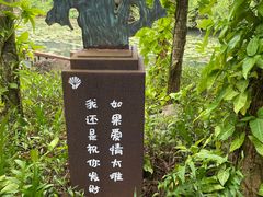 -亚龙湾热带天堂森林公园