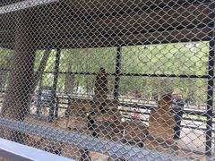 -长白岛森林公园