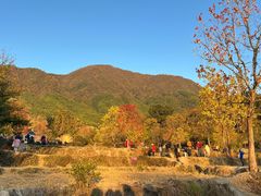 -塔川景区