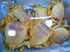 老虎虾108元/斤-渔民新村(番禺总店)