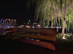 -映月湖中央公园