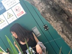 -南山湖公园