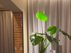 -羊门客在·烤盐池滩羊·川菜