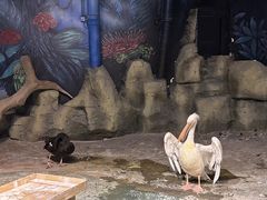 -绿色星球动物主题公园