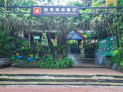 -呀诺达热带雨林