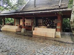 -海南槟榔谷黎苗文化旅游区