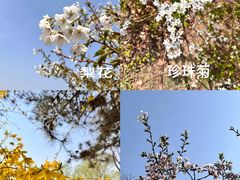-南海子公园