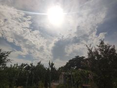 -东方巨龟苑景区