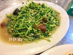 豆苗炒皮蛋-龙眼南白粥六顺白粥