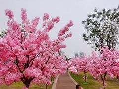 -桂溪生态公园