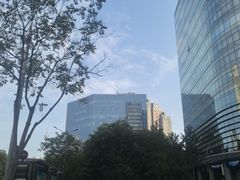 -凯德MALL(望京店)