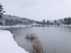 -南京市无想山景区