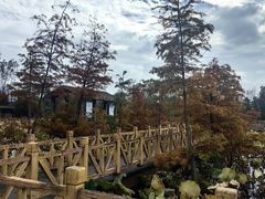 -溱湖国家湿地公园