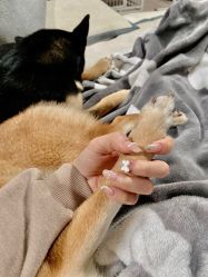 -Touch Nail·品质·美甲美睫