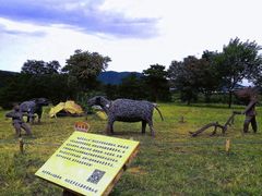 -北京西山国家森林公园