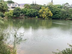 -广东惠东海龟国家级自然保护区