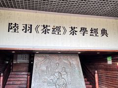 -大唐贡茶院