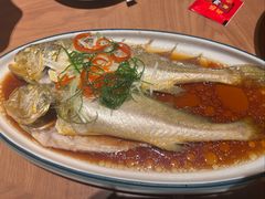 -波螺油子青岛本帮菜(银座店)