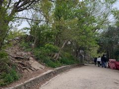 -紫金山山顶公园