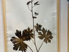 -西安祥峪森林公园