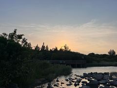 -上海吴淞炮台湾国家湿地公园