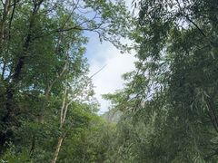 -秦岭终南山世界地质公园翠华山景区