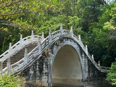 -深圳仙湖植物园