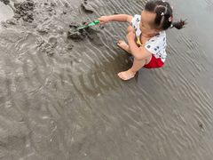 -奉贤海滩