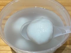 元宵圆-海丝金凤(金鱼店)