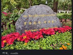-罗布林卡