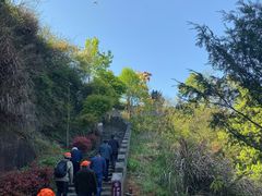 -磐安舞龙峡景区