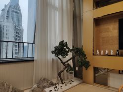 -JNK皮肤管理中心