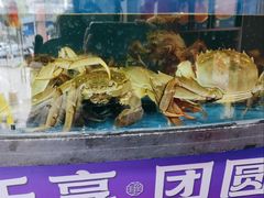 -蟹状元大闸蟹·年货·粽子(成都成华店)