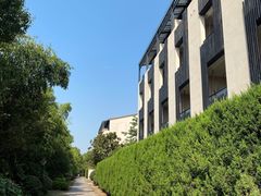 -上海崇明金茂凯悦酒店